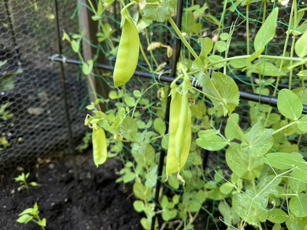 054CB32F-F7C3-4D60-9F35-6B8479D17C51_1_105_c