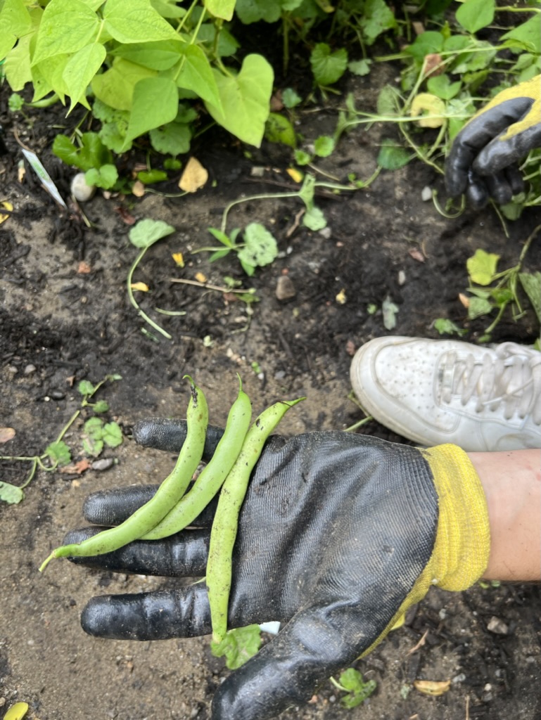 1048377C-ADB4-4376-BF53-726C9421661F_1_105_c