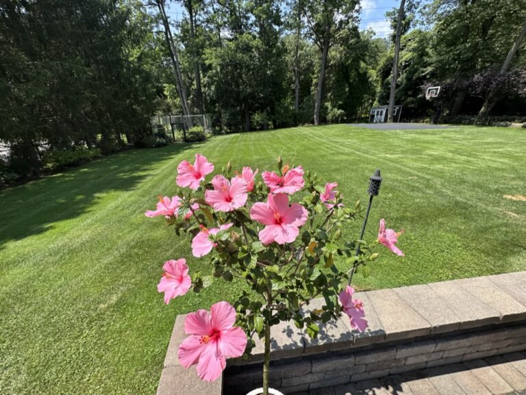 172C016E-C28F-4E09-A479-772B8800574D_1_105_c