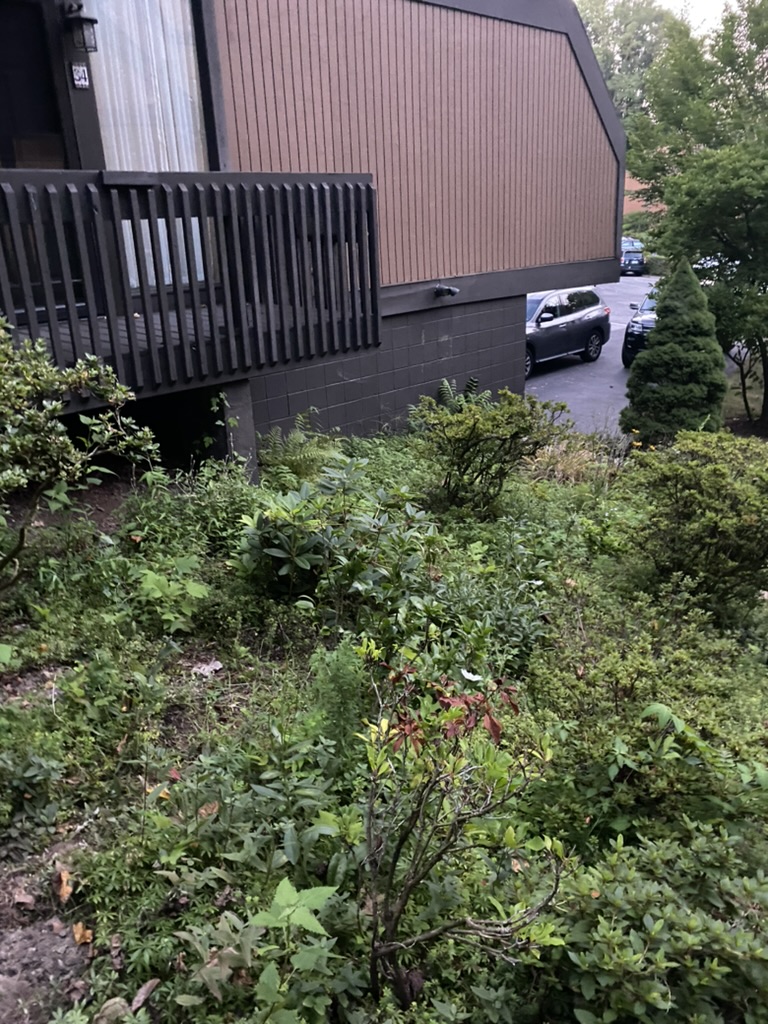 179580FA-2BFF-417C-B643-D9270CCA0687_1_105_c