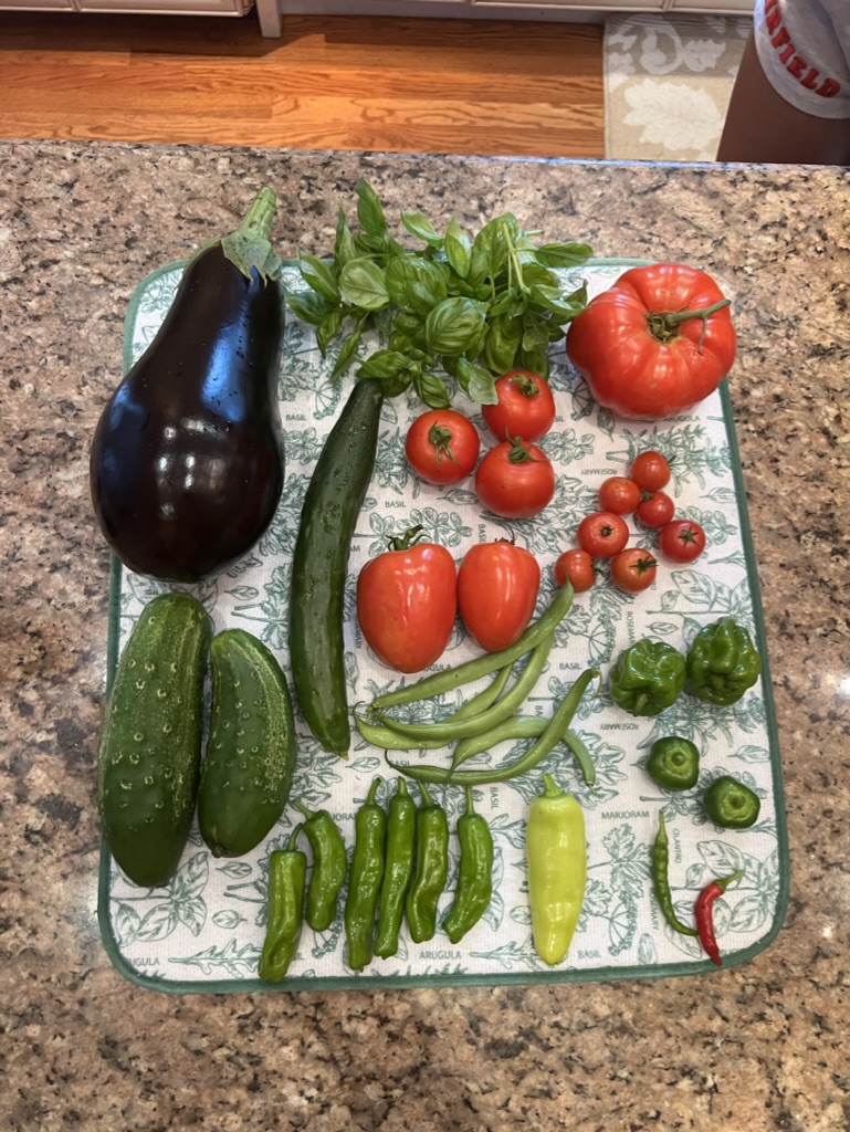 1889C6E0-D4B3-48B5-B29E-CAAFA1FF5933_1_105_c