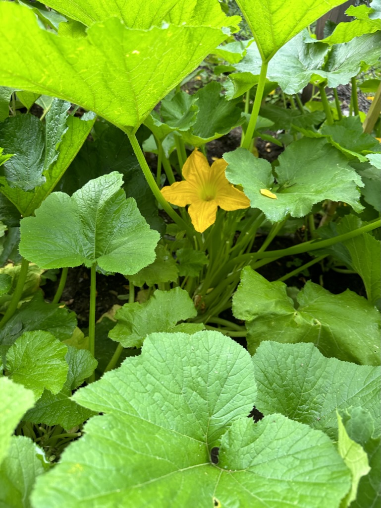 19D65F84-5B58-4EC6-A837-49F141E42DEE_1_105_c