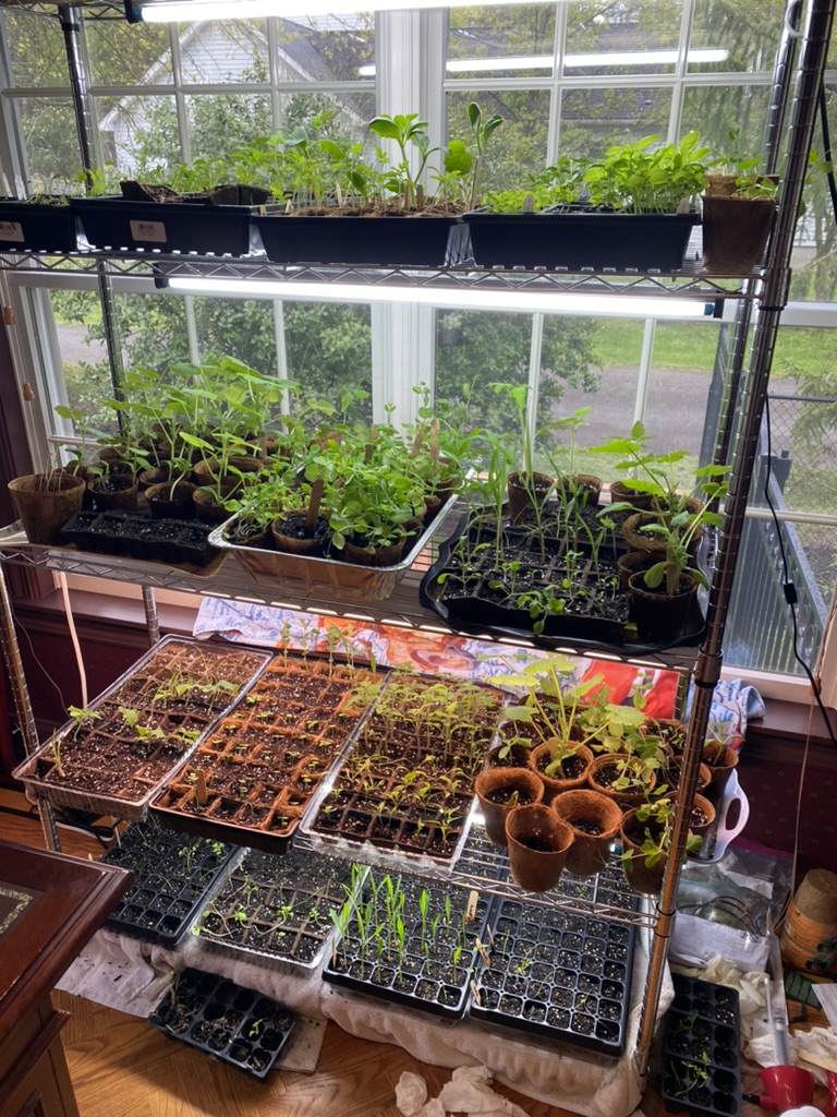 1B0B80D1-72C0-4153-9D8A-245825AFD40D_1_105_c