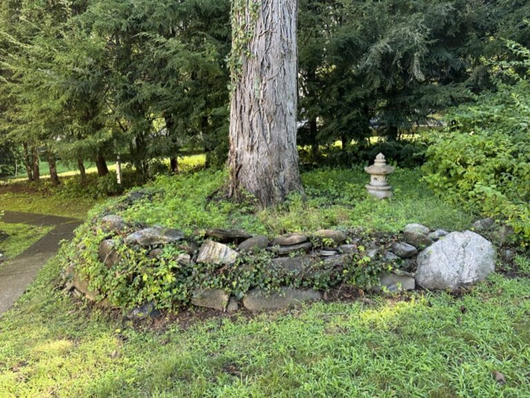 21AF3B7E-6B12-4B5B-BC98-6DCF9242F5C4_1_105_c