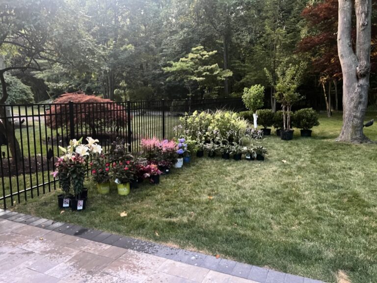 2243EF02-E63B-4768-B1EA-74B72C4F23FE_1_105_c