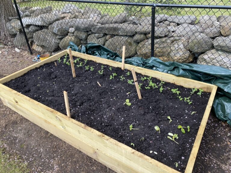 2EC5306F-97B0-4077-AE63-B65A1748E5A7_1_105_c