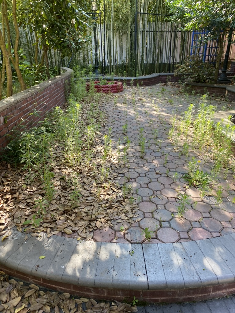 3B6FA7F7-CA74-47F2-B0B0-81FADE158737_1_105_c