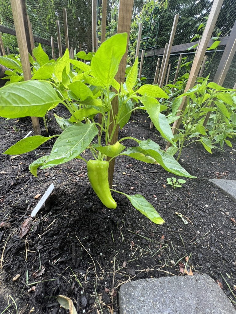 3E69735B-7B4B-4753-A700-4681FC3B5B00_1_105_c