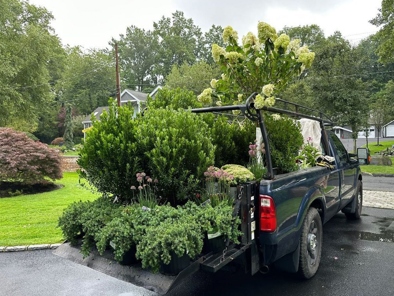 Image hover effect image