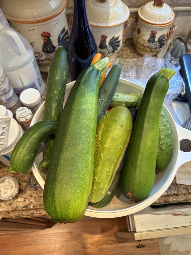 43A134BB-5E2D-44B6-A5D4-2961AEF78100_1_105_c