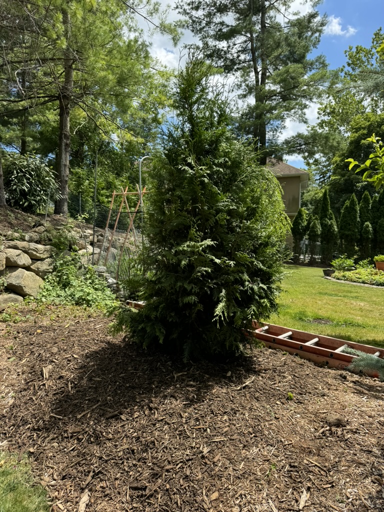 44AC15F0-8105-48C4-A8D4-7F659E6B189F_1_105_c