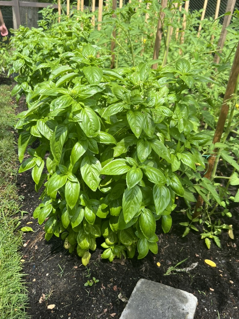 4C42ACA5-1235-4BFF-9651-5D7FFE59611B_1_105_c