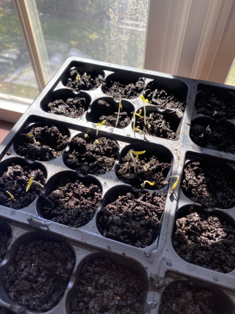 60693405491__F22438EB-819A-4335-A3BC-4A2852E6058F