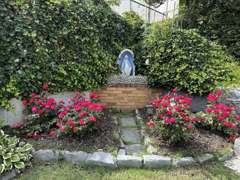 60BCE61D-F4F0-40C5-9E38-3ABEACC88821_1_105_c