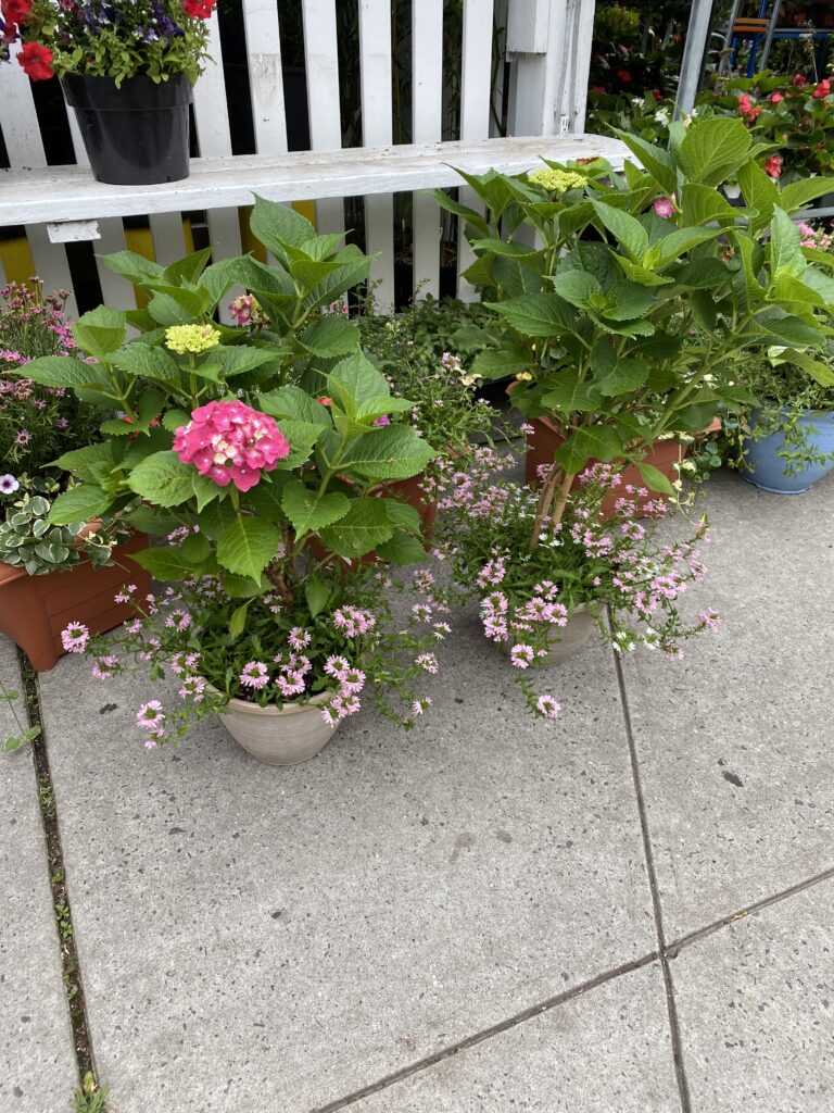 61584847809__7081E170-A127-4648-998F-74F9FDEF7176