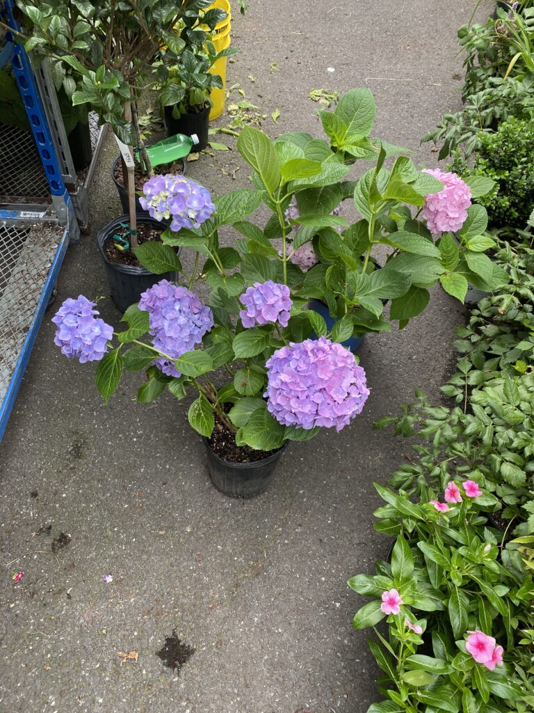 61584866738__16E362C0-EF91-4FC3-B8D5-E59C667C9CB8