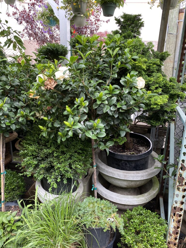 61584890191__5A21ED7E-4C47-441F-8355-11C7DF12FD56