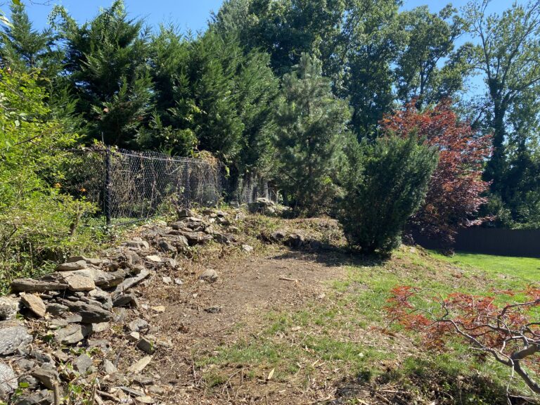 61703373432__3E7137C6-83FA-4C92-A3D2-94E2E61B4914