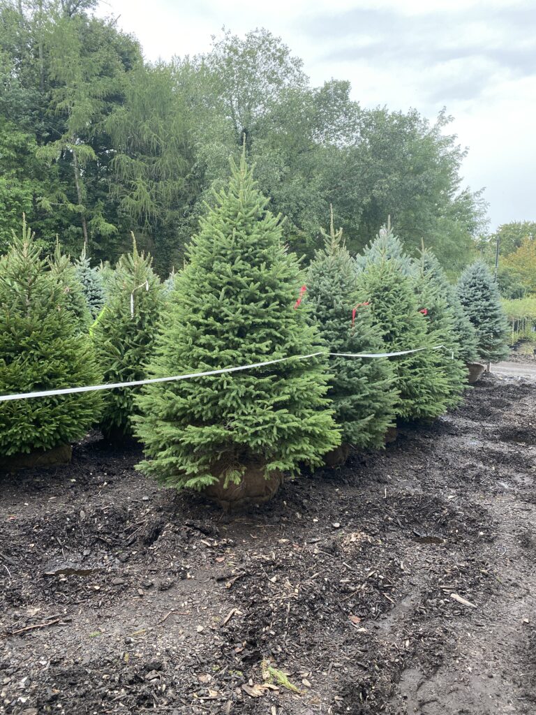 62205376511__DAE10EA5-3E92-43C6-8D6C-6238C6E33316