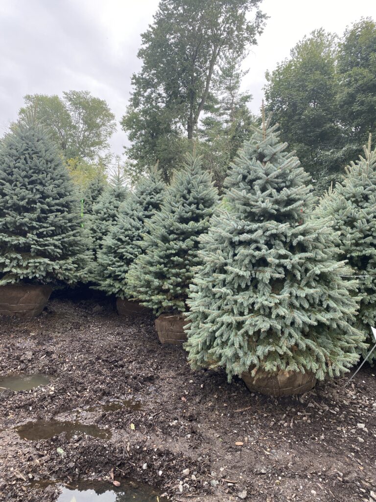 62205378822__BFE5B718-363A-4582-999E-275D4DA3F2B7