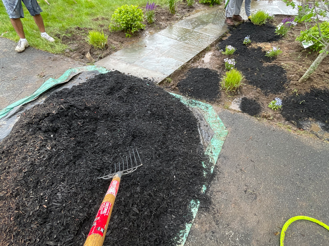 Image hover effect image