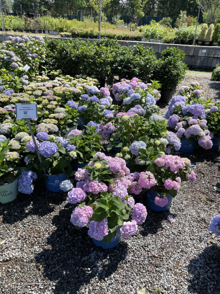 64546045996__20AA078C-5546-4C7A-9E16-2E2514FA6746