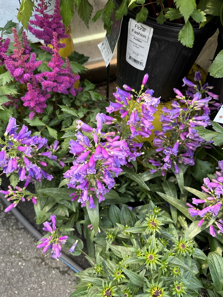 65968F9E-4C79-43AA-95D0-48AEF09178CE_1_105_c