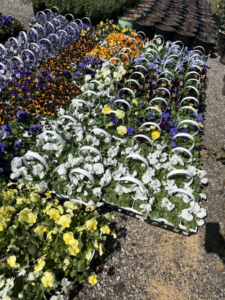 67155457338__B203B251-8203-4543-A23E-4294F17AD84F