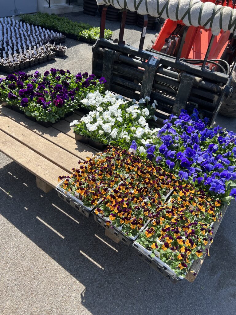 67155536204__555C595C-B051-4450-9C0C-F26C1CE05ABE