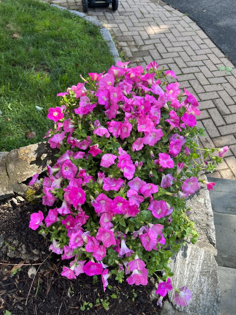 67638693337__C5BD4D4E-71F6-4742-B48F-22E394E9A60A