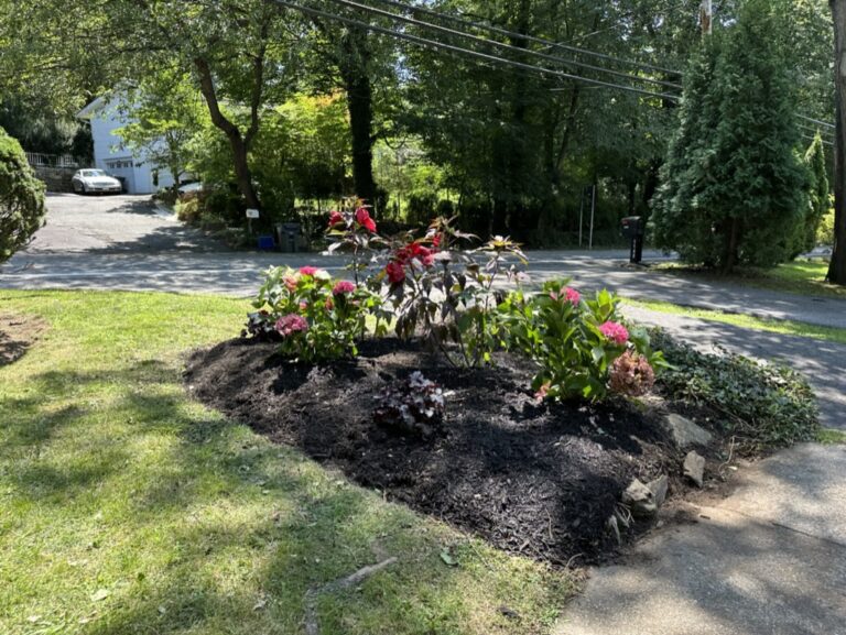 677D437E-A35D-451C-A0BB-724AEDDE87CD_1_105_c