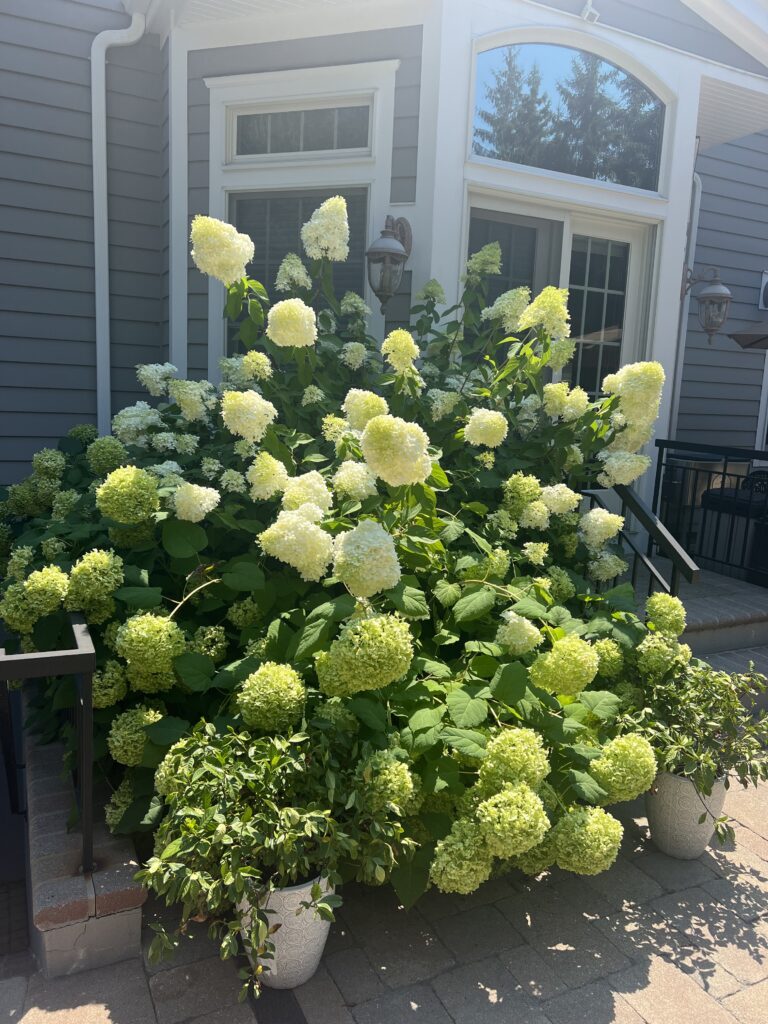 68132150267__58189F66-DEDC-41F9-B329-A03BF32AAD09