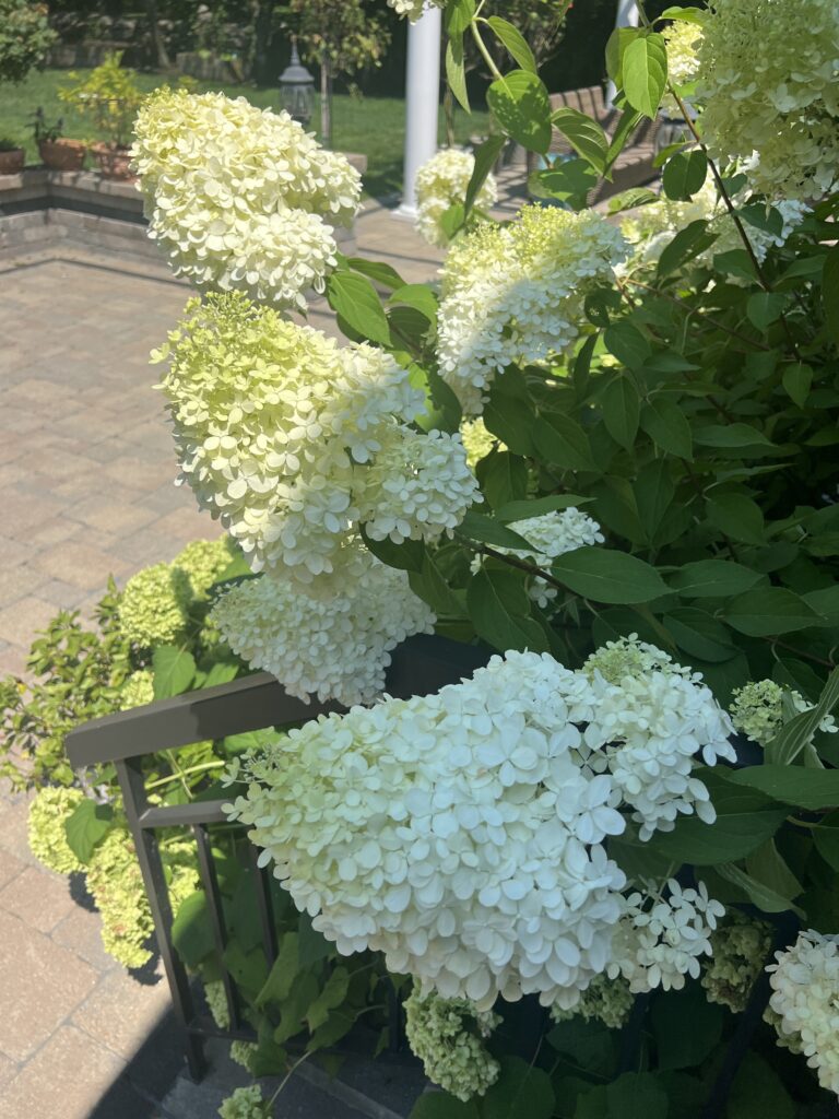 68132151735__CA9D4AE2-AF26-464D-BDC0-D182117DEE50