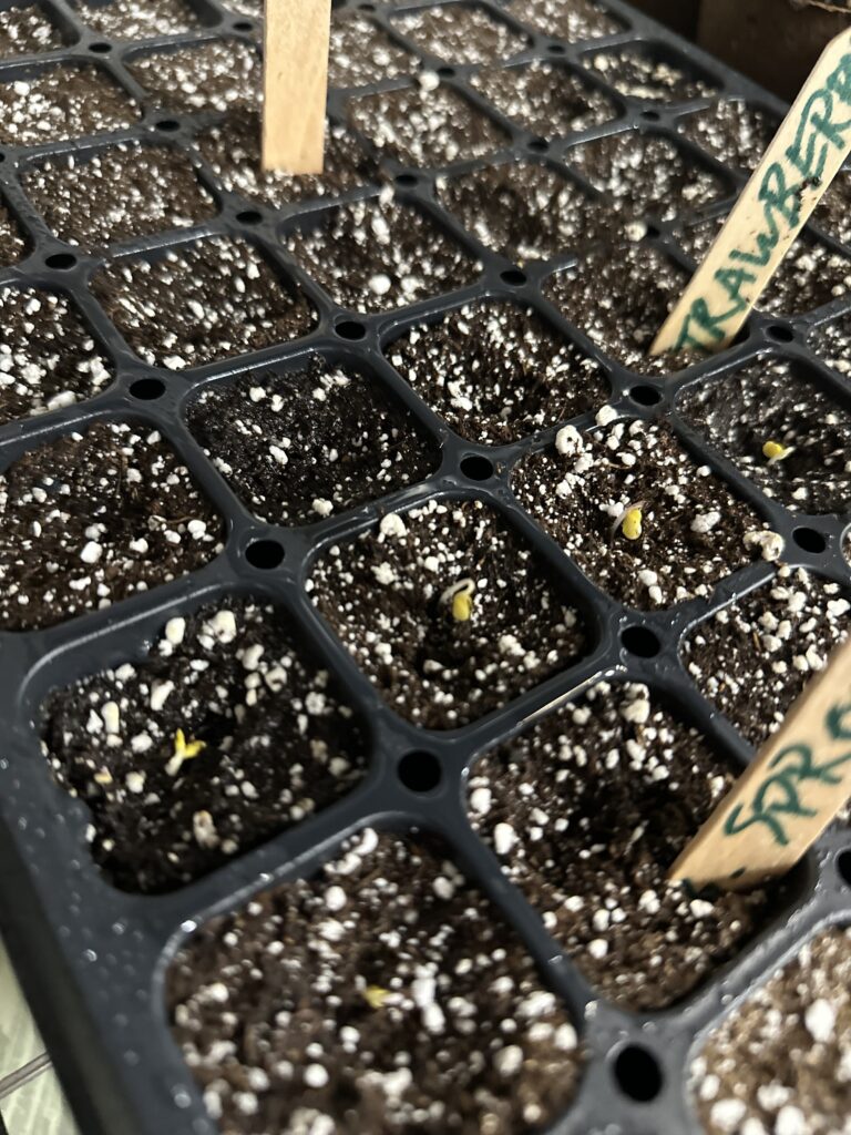 69920506165__82E58FBC-79C7-4D85-861B-BC54CADAAC8B