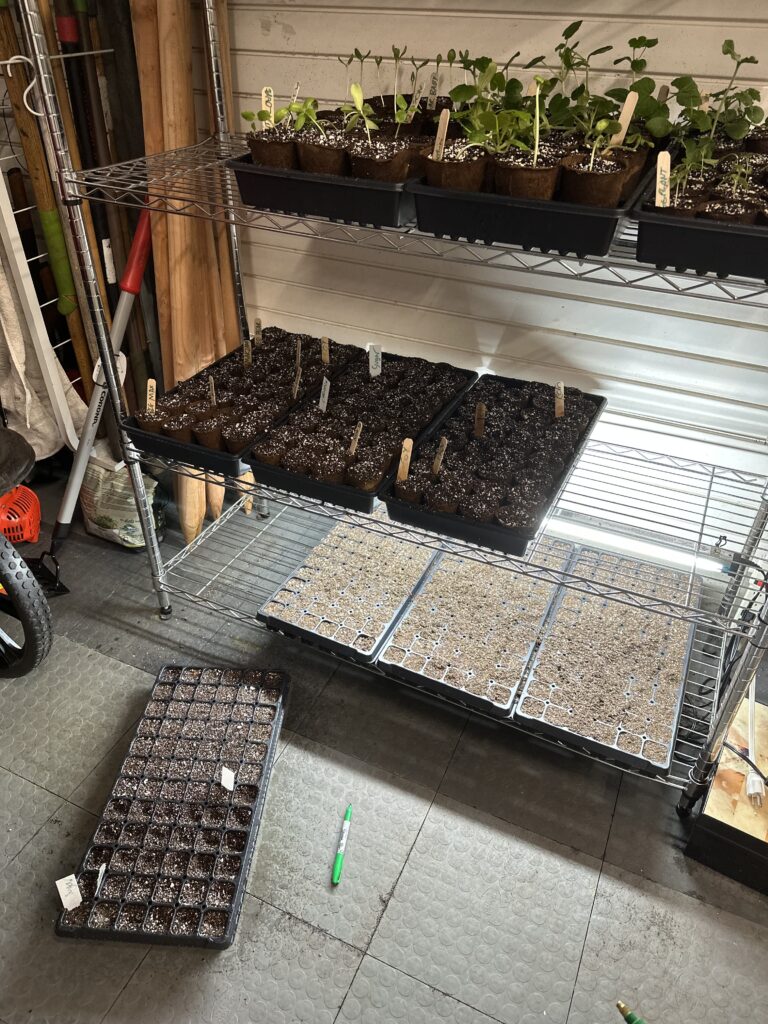 70200771476__F4EA947A-AB04-438B-AD58-6B0902427B8F