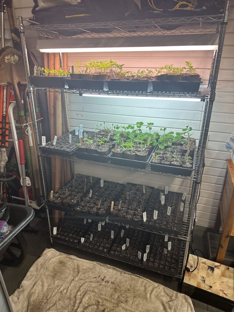 70226268567__8B754A80-9E92-4A7F-90C6-2EBD481B7875