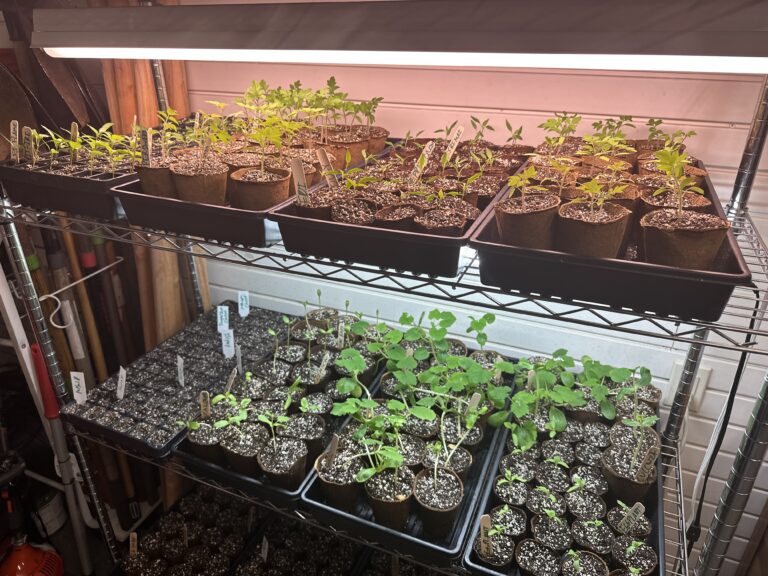 70226269618__C81E3F21-EF30-41C2-B69E-3544A11F3F78