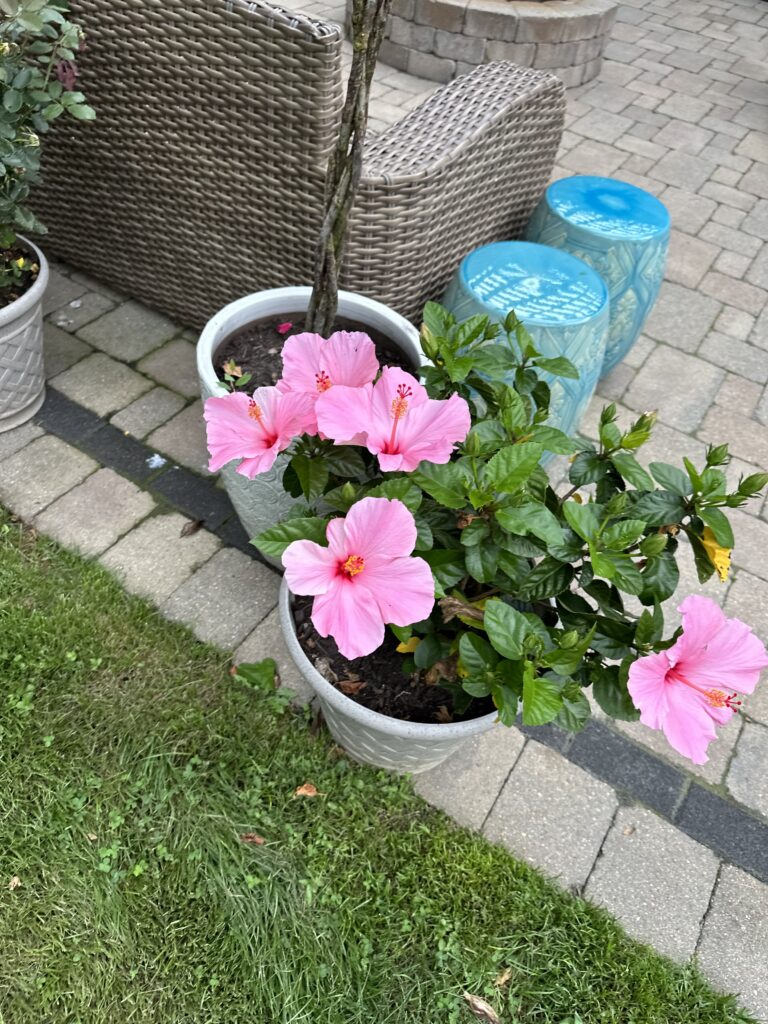 71200239138__CCF75556-E968-4C2B-848E-F51F7CF71E67