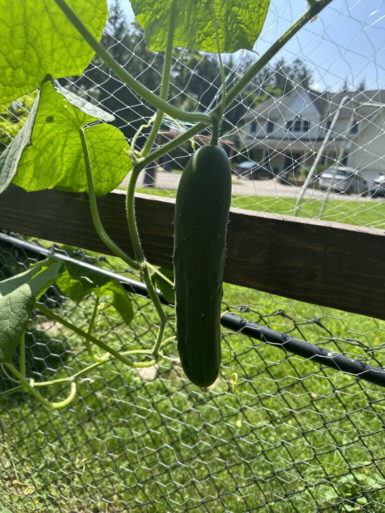 71302999621__AD2B0E29-CFCC-41FA-A70F-617321A6E902