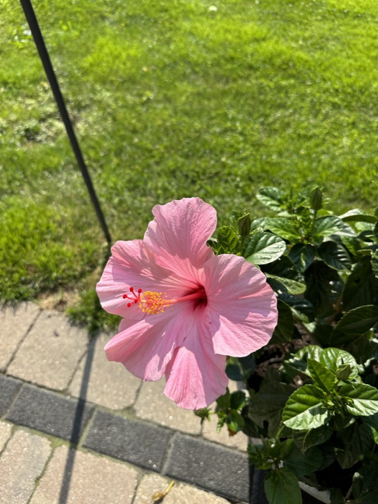 76F11B99-1EB3-401F-8129-91FB9654280F_1_105_c