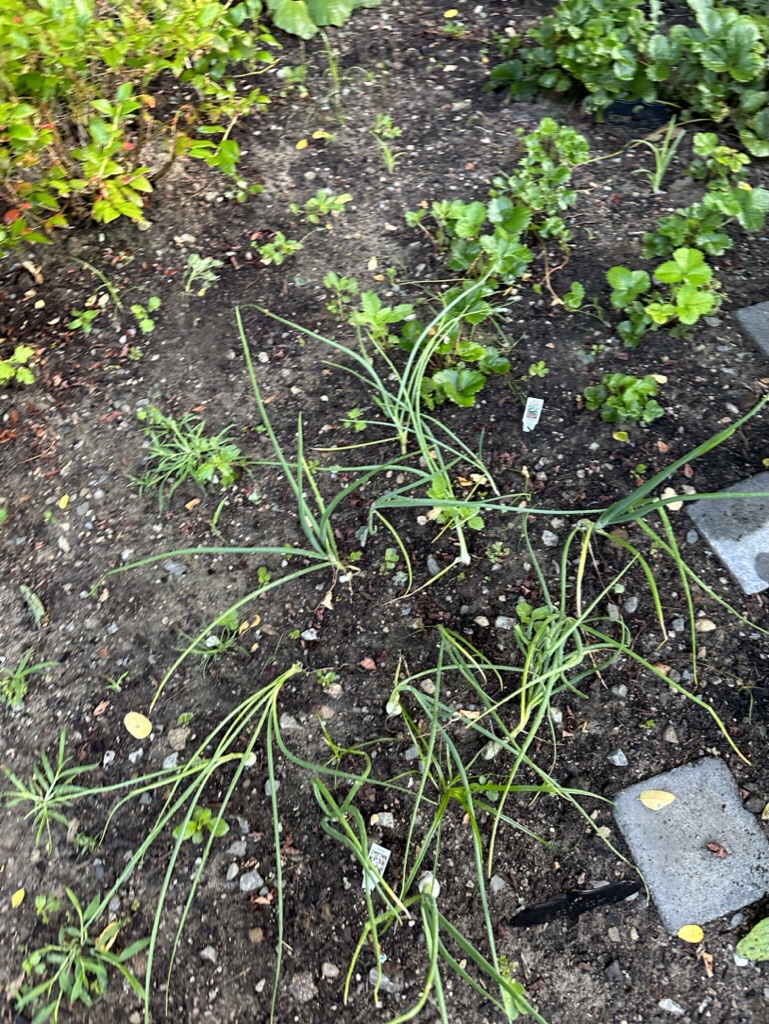 827DC18E-E4CF-4F18-88C6-DF34342AA712_1_105_c