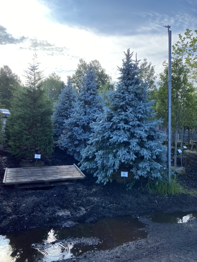 83B1CBDD-3553-43D2-9590-81B91868F811_1_105_c