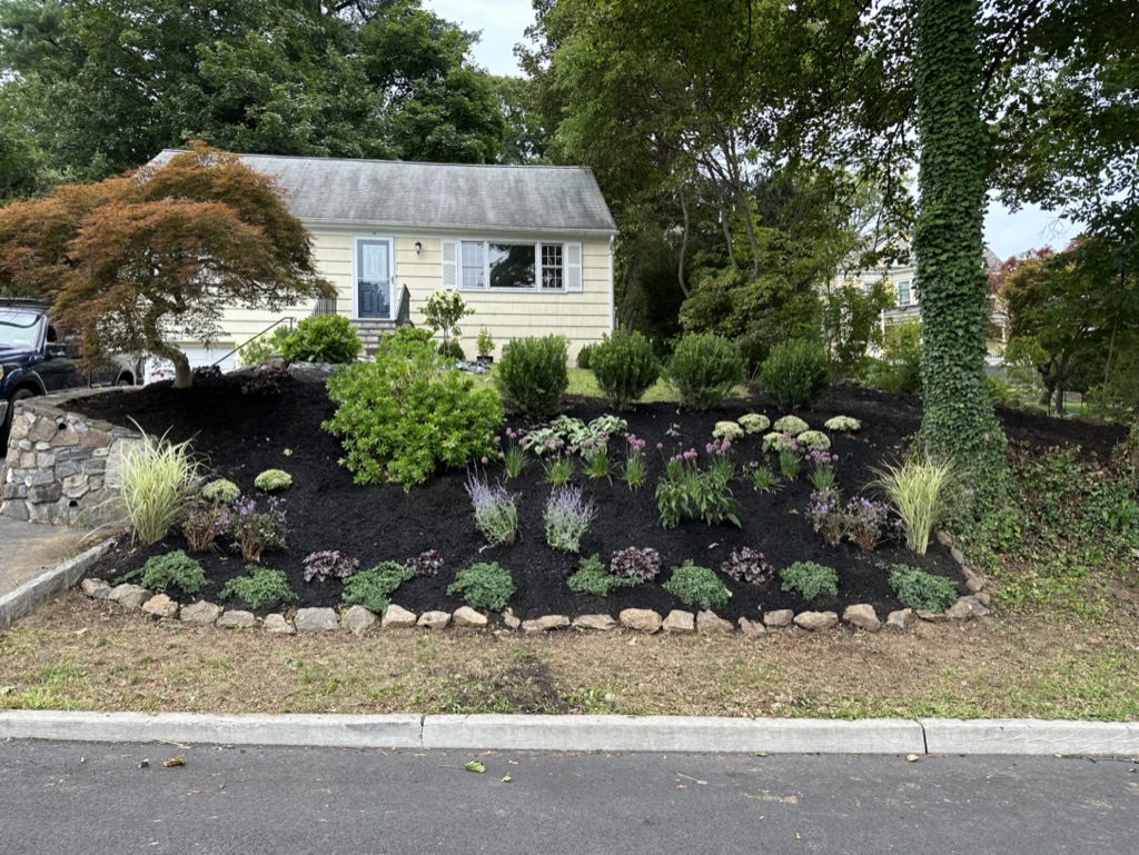 87D2D6BE-014F-4DE5-B11B-2AE3A0BA7F5C_1_105_c