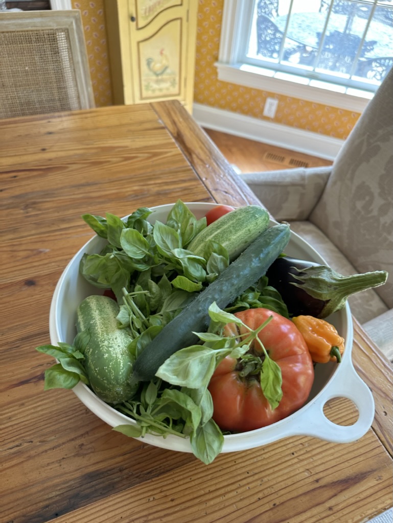 8B40AA3C-5259-4962-A281-195E658A6D77_1_105_c