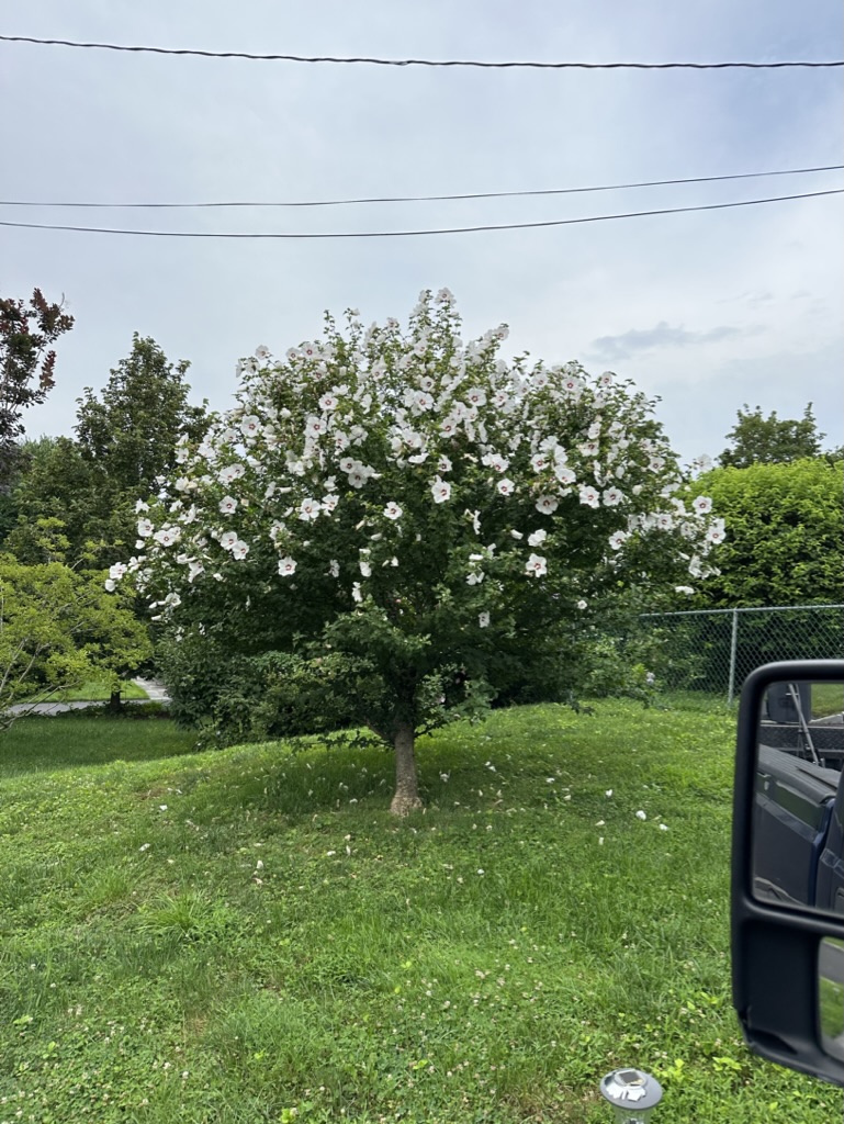 8C4FF8F9-B84B-4F2D-9CB1-EEE2BEDBEA18_1_105_c