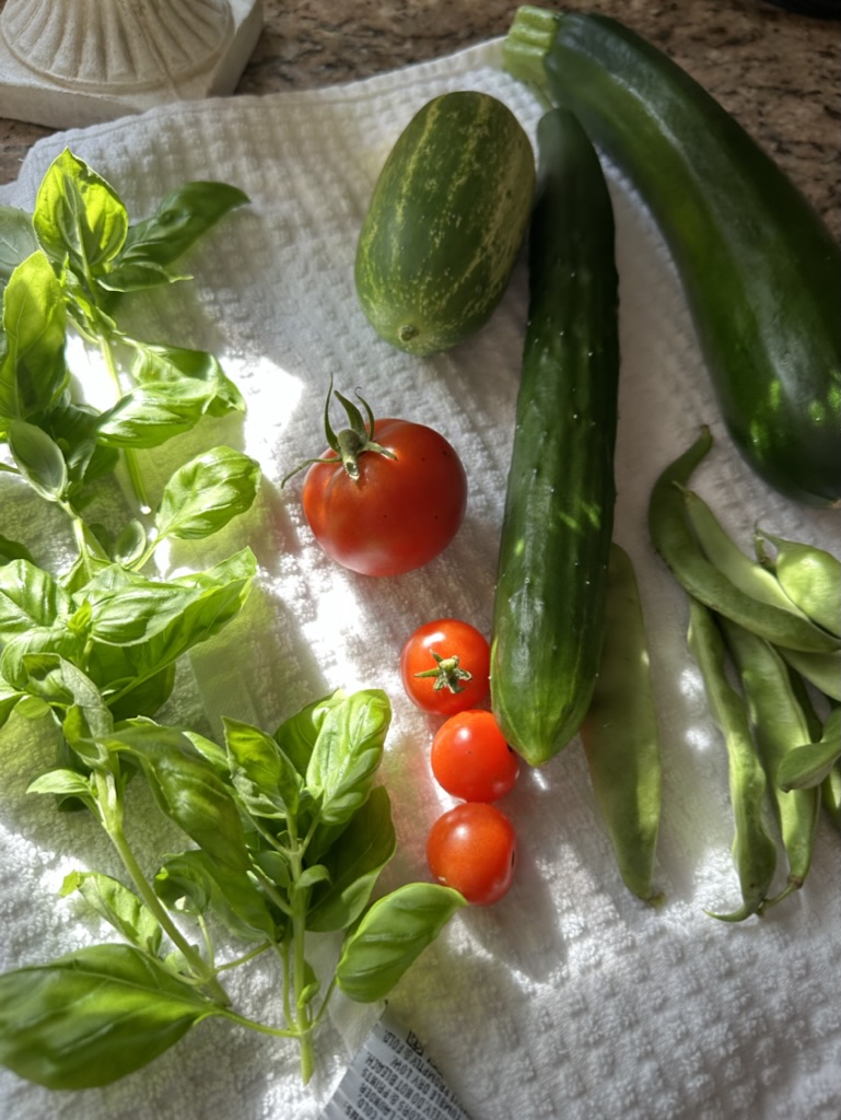 9F3EB9EF-D2F8-4269-BA9A-F4ED47B47EB5_1_105_c