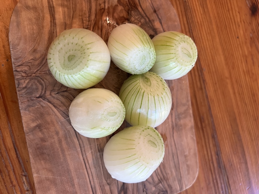 AE315130-E244-401B-AB33-4E683E1ADDF7_1_105_c