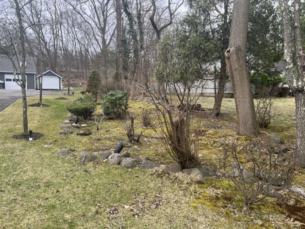 B51C90E9-C7BF-4D19-8664-10B69459052D_1_105_c