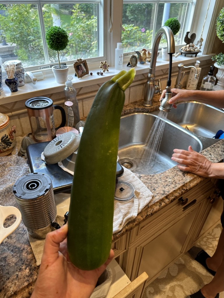 B99A5329-9229-44E6-95DE-34AAA29877BB_1_105_c