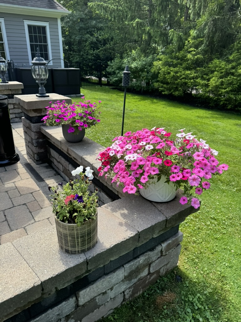 C2306266-35E6-4CFD-BC41-E8EEB06E909F_1_105_c